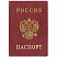 превью Обложка для паспорта с гербом, ПВХ, бордовая, ДПС