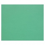 Цветная бумага 500×650мм., Clairefontaine «Tulipe», 25л., 160г/м2, тёмно-зелёный, лёгкое зерно