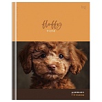 Дневник 1-4 кл. 48л. (твердый) BG «Fluffy», матовая ламинация
