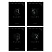 превью Блокнот А6 60л. на гребне BG «Just black»