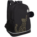 Рюкзак GRIZZLY школьный, анатомическая спинка, 2 отделения, для девочек, «GOLD CAT», 38×28х18 см