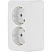 превью Розетка накладная двойная Schneider Electric BLNRA010211 Blanca с заземлением 16 А IP20 белая