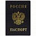 превью Обложка для паспорта с гербом, ПВХ, черная, ДПС