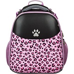 Ранец Комус Класс LEO сиреневый, Basic, 2 отд., эргоном. Спинка