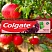 превью Зубная паста Colgate Гранат 100 мл