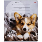 Тетрадь клетка 12л. Прелестные щеночки, ассорти, 12-8828