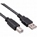 превью Кабель USB 2.0 ExeGate EX-CC-USB2-AMBM-1.8 (Am/Bm, 1.8м)