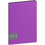 Папка с 40 вкладышами Berlingo «Color Zone», 21мм, 1000мкм, фиолетовая