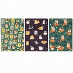 Тетради 40 л. без линовки обложка SoftTouch, НАБОР 3 шт., бежевая бумага 70 г/м2, сшивка, А5 (147×210 мм), СИМПАТЯГИ, BRAUBERG