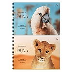 Альбом для рисования 40л., А4, на гребне BG «Яркий мир»