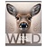 превью Тетрадь 48л., А5, клетка BG «Wild», суперэконом, универсальный