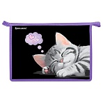 Папка для труда на молнии BRAUBERG А4, 2 отделения, органайзер, «Sleeping kitten»