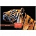 превью Пазл 500 эл. Hatber Premium «Legend Art Series. Взгляд тигра», подарочная коробка + Постер