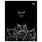 Дневник 1-11 кл. 40л. на скобе BG «Удачи! »