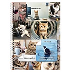 Стикербук ПРОСТО НАКЛЕЙ А6, 16 листов, 96 цветных стикеров, на гребне, BRAUBERG, «Коты мемы»