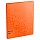 Папка с 40 вкладышами Berlingo «Neon», 24мм, 1000мкм, оранжевый неон, с внутр. карманом
