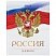 превью Дневник 5-11 класс, 48 л., твердый, BRAUBERG, глянцевая ламинация, с подсказом, «Символика 2»