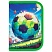 превью Пенал ПИФАГОР, 1 отделение, 1 откидная планка, полиэстер, 19×13 см, «Football match»