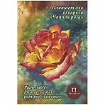 Планшет для акварели 20л. А4 Лилия Холдинг «Чайная роза», 200г/м2, «Холст»