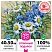 превью Картина по номерам 40×50 см, ОСТРОВ СОКРОВИЩ «Ромашки», на подрамнике, акрил, кисти