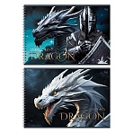 Альбом для рисования 40л., А4, на гребне BG «Дракон и воин»