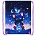 превью Мешок для обуви BRAUBERG PREMIUM, карман, подкладка, светоотражайка, 43×33 см, Night catcher