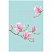 превью Записная книжка А5 80л. BG «Spring bloom», матовая ламинация, блок в точку