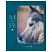 превью Тетрадь 96л., А5, клетка BG «Wild», глянцевая ламинация