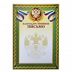 Благодарственное письмо А4 (10 штук в упаковке)