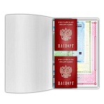 Папка-органайзер, обложка семейная для 2-х комплектов документов, А4, ПВХ, матовая, STAFF