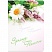превью Папка-уголок Berlingo «Spring Flowers», А4, 180мкм, рисунок