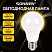 превью Лампа светодиодная SONNEN EXTRA, 10 (85) Вт, Е27, груша, теплый белый, 30000 ч, LED A60-10W-2700-Е27