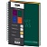 превью Бизнес-тетрадь Constant А4.150л,200×274.5 разд, клет+лин, зелен 0004-03