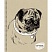 превью Тетрадь общая Канц-Эксмо Sketch dog А5 48 листов в клетку на спирали (обложка в ассортименте)