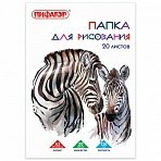 Папка для рисования БОЛЬШОГО ФОРМАТА А3, 20 л., 120 г/м2, ПИФАГОР, 297×420 мм, «Зебры»