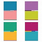 Тетрадь А4, 60 л., BRAUBERG, скоба, клетка, обложка картон, «Color»