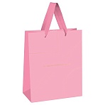 Пакет подарочный 18×23×10см MESHU «Monocolor. Pink», отд. фольгой, матовая ламинация