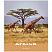превью Тетрадь 96л., А5, клетка ArtSpace «Животные. Nature of Africa», эконом