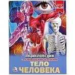 Энциклопедия Умка А4 «Тело человека», 48стр. 