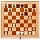 Настольная игра Шахматы демонстрационные магнитные (73×3.5×73 см)