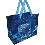 Пакет подарочный 23×18×10см MESHU «Moon sky», фольга, матовая ламинация