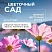 превью Мыло жидкое Synergetic Аромамагия антибактериальное 5 л