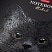 превью Тетрадь А5, 48 л., HATBER, скоба, клетка, матовая ламинация, 3D-лак, «Black Cat» (микс в спайке), 093159