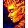 Картина по номерам на холсте ТРИ СОВЫ «Стихия. Огонь», 40×50, с акриловыми красками и кистями