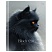 превью Дневник 5-11 кл. 48л. (твердый) BG «Black cat», матовая ламинация