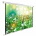 превью Экран Cactus WallExpert CS-PSWE-200×200-WT, 200×200 см, 1:1, настенно-потолочный, белый