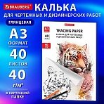 Калька для чертежных и дизайнерских работ папка, А3, 297×420 мм, 40 г/м2, 40 листов, BRAUBERG