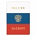 превью Обложка для паспорта ДПС Россия из ПВХ цветная (2203.Ф)