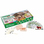 Набор для раскопок «Дикие животные»12 видовкарточкиинструментыBRAUBERG KIDS665128