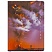 превью Записная книжка А6 80л. ЛАЙТ, кожзам, Greenwich Line «Power of nature», с резинкой, тиснение фольгой, блок в клетку